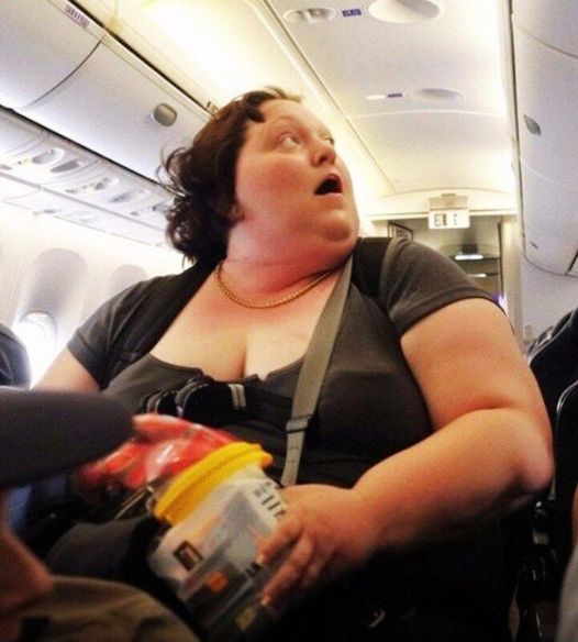 Rich Man Gets Angry About a Large Woman on the Plane Until the Pilot Intervenes