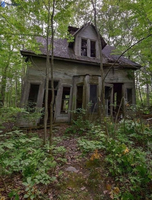 The Old House That Stole Hearts