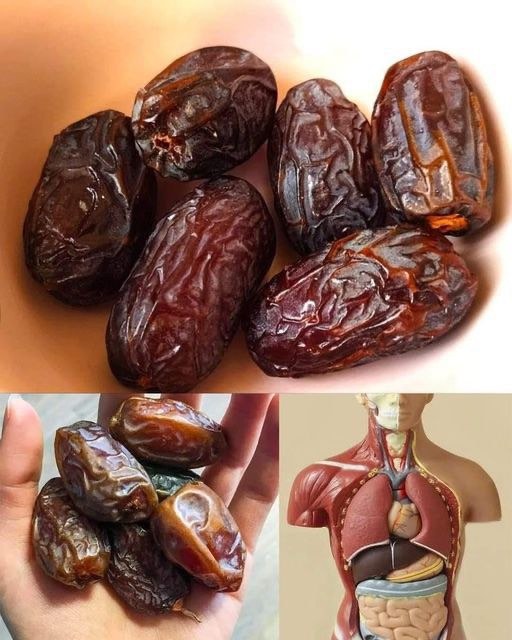 Here’s What Happens To Your Body If You Eat 4 Dates Every Day